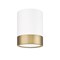 Z-Lite Algar Flush Mount, 1-Light, 6 In.W x 8 In.H, Matte White + Modern Gold/Frosted 1006F6-MW-MGLD-LED - alternate 7